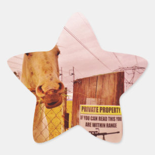 Sticker Étoile Pink Private Property Horse