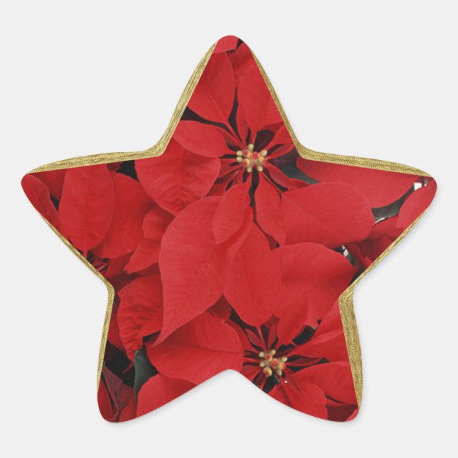 Sticker Étoile Poinsettias en forme d'étoile de Noël (Devant)