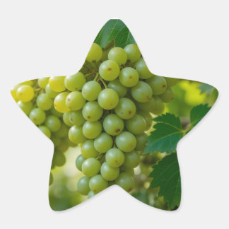 Sticker Étoile Raisin Vert Frais