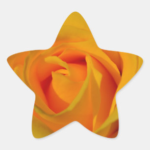 Sticker Étoile Rose jaune