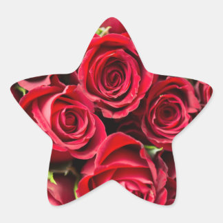 Sticker Étoile Roses Reddy Beautiful