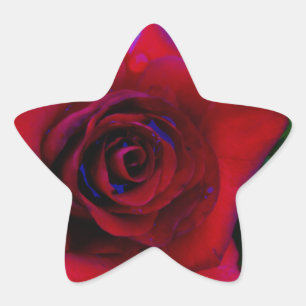 Sticker Étoile Roses rouges aux tons bleus