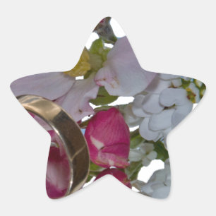 Sticker Étoile Salutations - Salutations