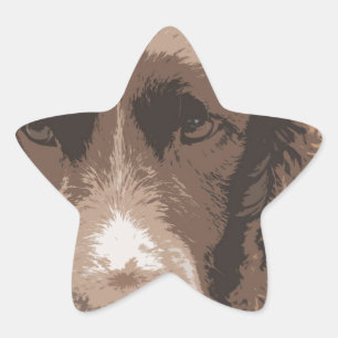 Sticker Étoile Springer anglais