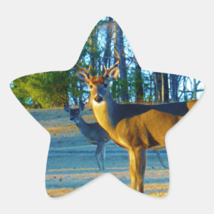 Sticker Étoile Stade / Buck Deer, Ciel bleu clair