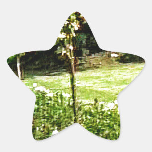 Sticker Étoile Stratford-upon-Avon Garden Rose snap-29602 jGibney