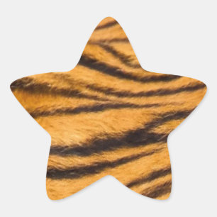 Sticker Étoile Tiger Grilles Fourrure Noir et Orange Personnalise
