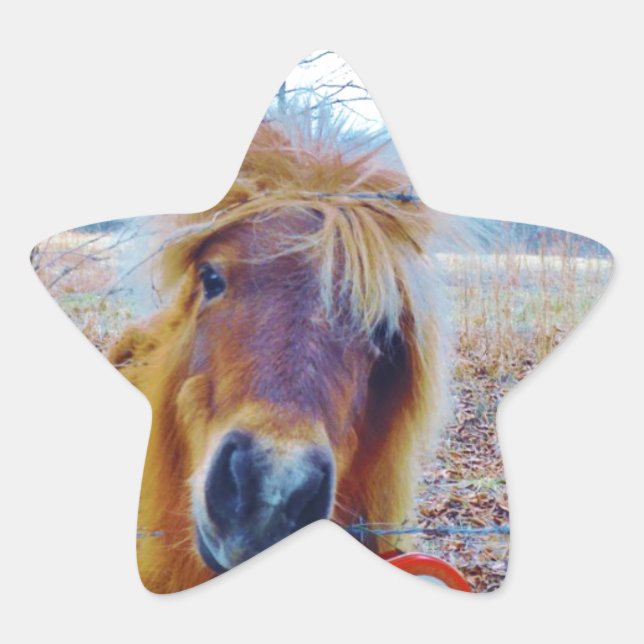 Sticker Étoile Valentine Heart Horse (Devant)