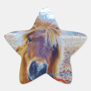 Sticker Étoile Valentine Heart Horse