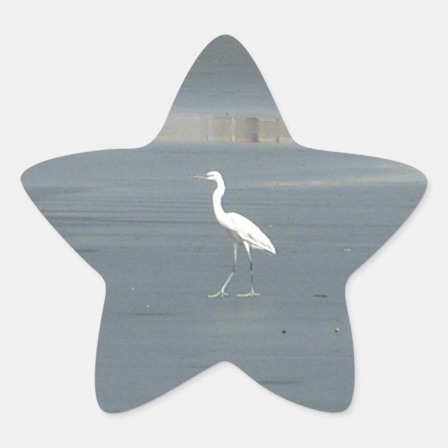 Sticker Étoile White Bird on Grey Sand Beach Art Imprimer (Devant)