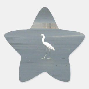 Sticker Étoile White Bird on Grey Sand Beach Art Imprimer