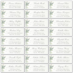 Sticker Eucalyptus Green Elegant Adresse d'hôte