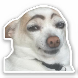 Sticker Eyebrow Dog Meme
