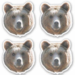 Sticker Face de l'ours grizzli