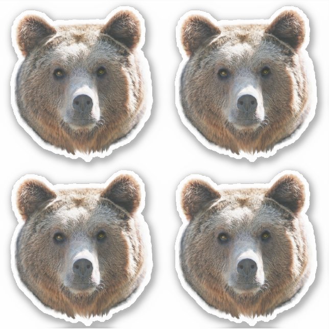 Sticker Face de l'ours grizzli (Devant)