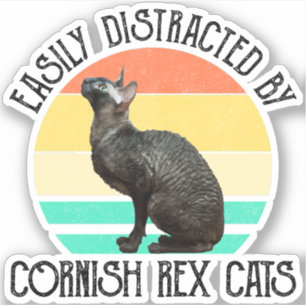 Sticker Facilement Distrait Par Les Chats Cornish Rex