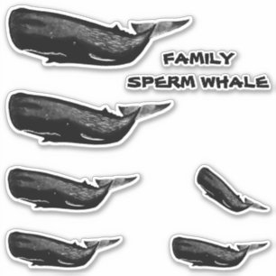 STICKER FAMILLE DE SPERM WHALE