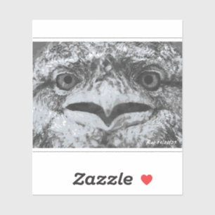 Sticker Faune australien, le grincheux de la nature, anima