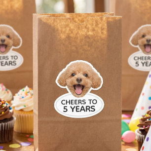 Sticker Faveurs de fête d'anniversaire d'animaux à visage