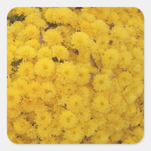 Sticker "FEMMES Jaunes"