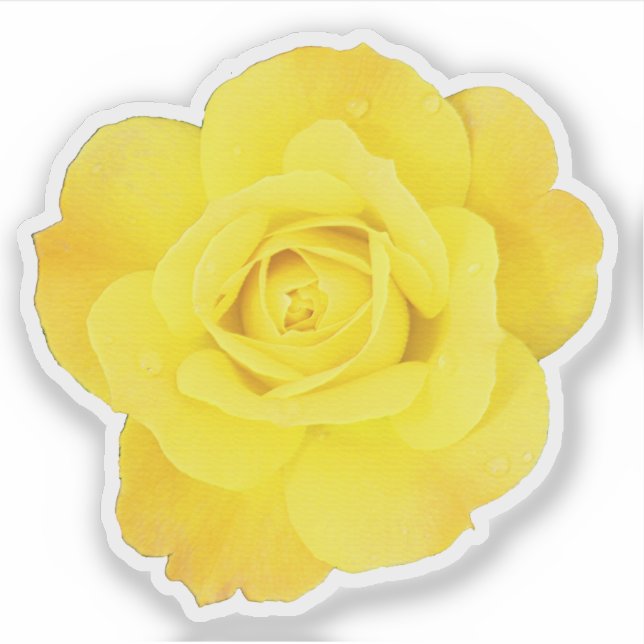 Sticker Fête de l'amitié rose jaune Amis Mariages Floral (Devant)