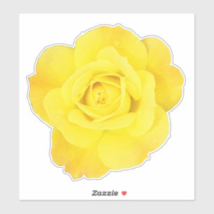Sticker Fête nationale de l'amitié des roses jaunes Fleurs