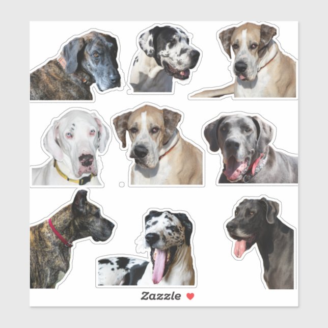 Sticker Feuille d'autocollant diverses faces de Grande Dan (Feuille)