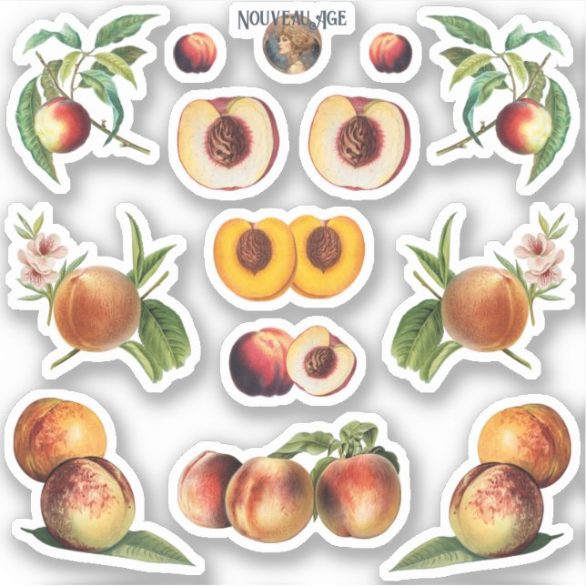 Sticker Feuille d'autocollant Peaches (Devant)