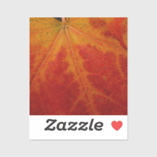 Sticker Feuille d'érable rouge Abstraite Automne Photograp
