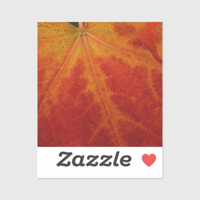 Sticker Feuille d'érable rouge Abstraite Automne Photograp (Feuille)