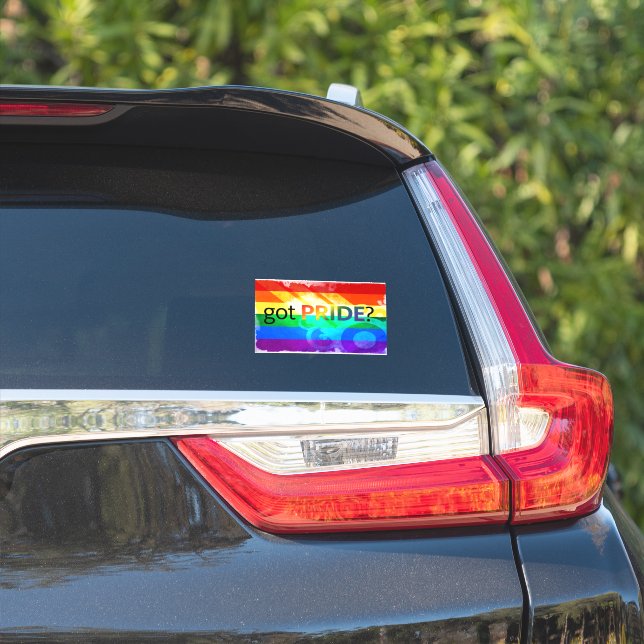 Sticker Fierté LGBT Drapeau Ovale Fenêtre Decale (Côté voiture)