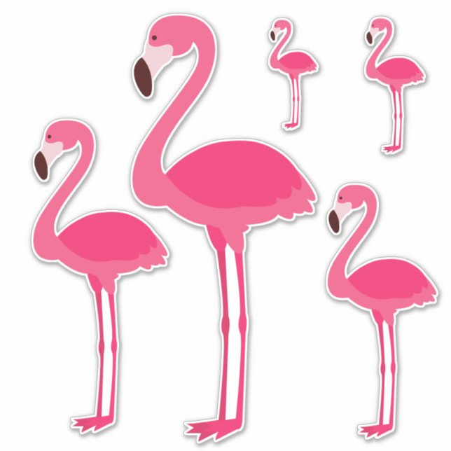 Sticker Flamants roses roses tropicaux (Devant)