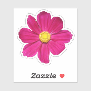 Sticker Fleur Cosmos PInk