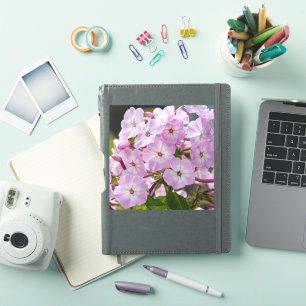 Sticker Fleur d'unité – Phlox rose