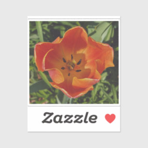 Sticker fleur printanière rouge