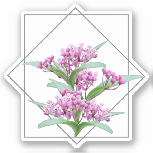Sticker Fleur rose Asclepias Incarnata (Devant)