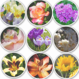 Sticker Fleurs