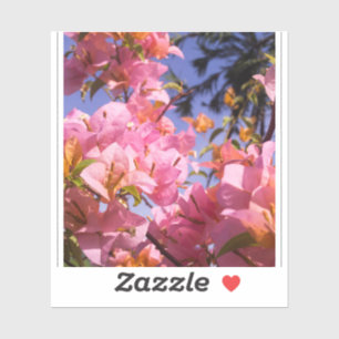 Sticker Fleurs de bougainvillée rose et orange mélangées