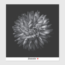 Sticker Fleurs jardins En Noir Et Blanc 20