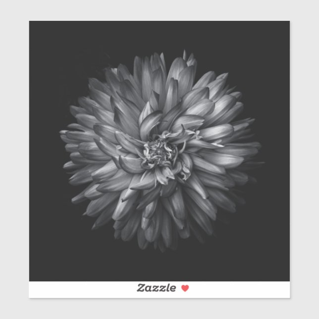 Sticker Fleurs jardins En Noir Et Blanc 20 (Feuille)