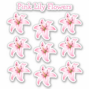 Sticker Fleurs Lys Roses Forme Nature