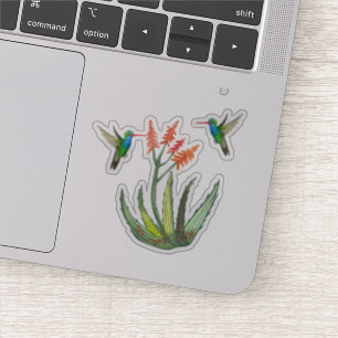 Sticker Fleurs succulentes de colibris de Vera d'aloès