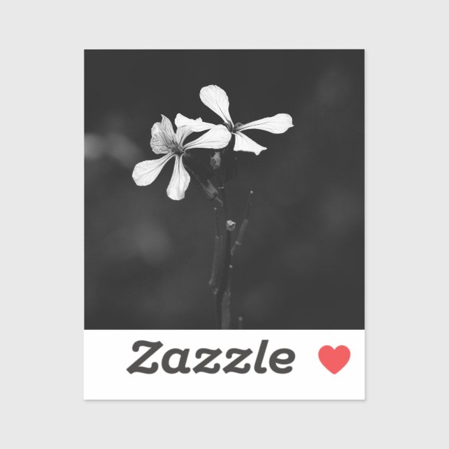 Sticker floral noir et blanc minimal (Feuille)