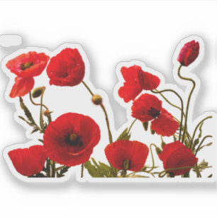 Sticker Flore florale de pavot rouge de couleur aquarelle