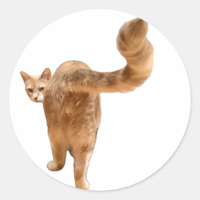 Sticker Floyd Butt - Avec Visage! (Devant)