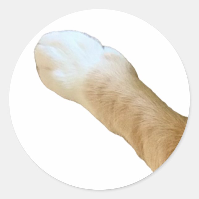 Sticker Floyd - Paw ! (Devant)