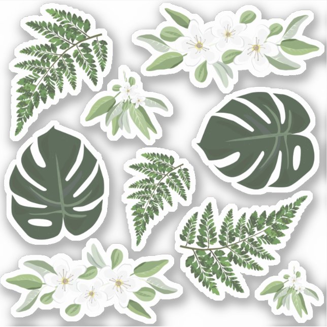 Sticker Foliage tropical Fleurs de fougères Monstera (Devant)