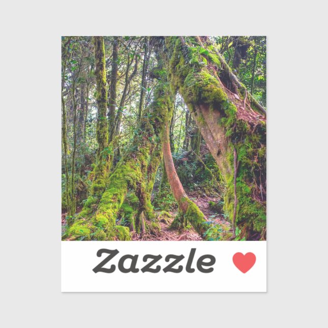 Sticker Forêt moussue (Feuille)