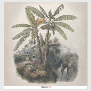 Sticker Forêt tropicale antique de bananiers   Bota vintag