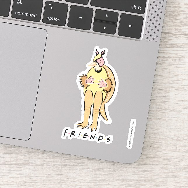 Sticker FRIENDS™ | Tatou de fête (Détail)